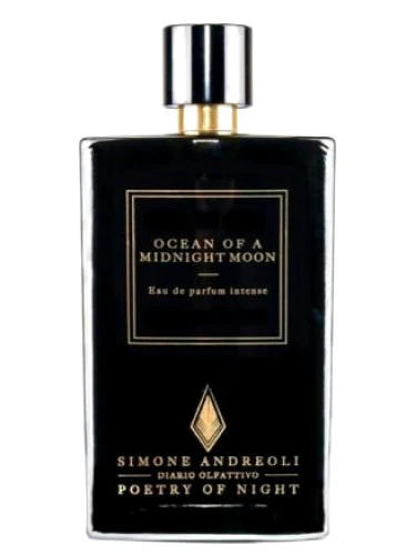 Simone Andreoli - Ocean Of A Midnight Moon - Image 2